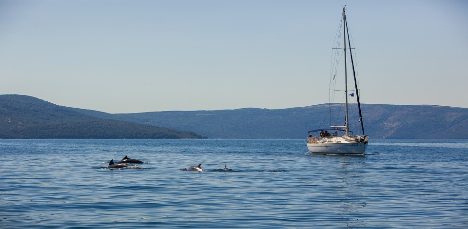 Visit Kvarner